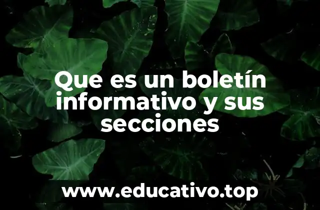 Que es un boletín informativo y sus secciones