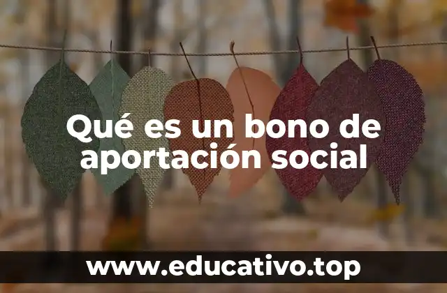 Qué es un bono de aportación social