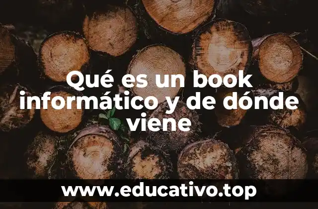 Qué es un book informático y de dónde viene