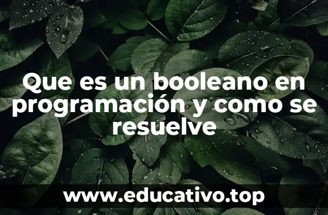 Que es un booleano en programación y como se resuelve