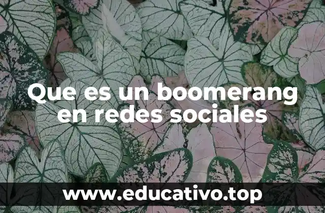 Que es un boomerang en redes sociales