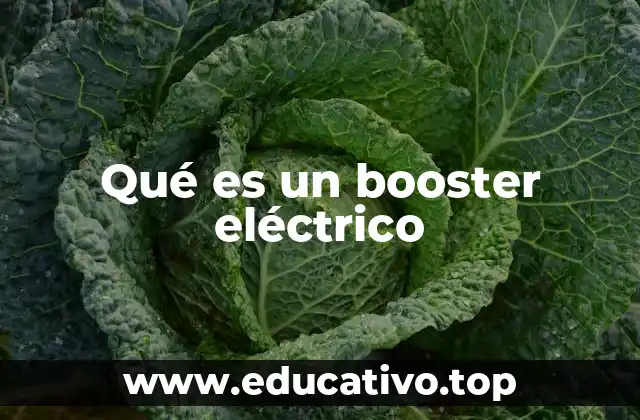Qué es un booster eléctrico