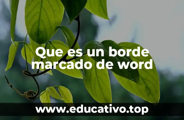 Que es un borde marcado de word