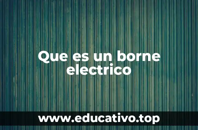 Que es un borne electrico