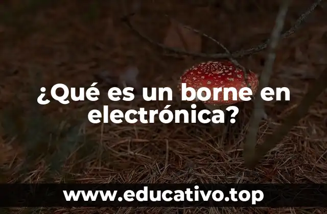 ¿Qué es un borne en electrónica?