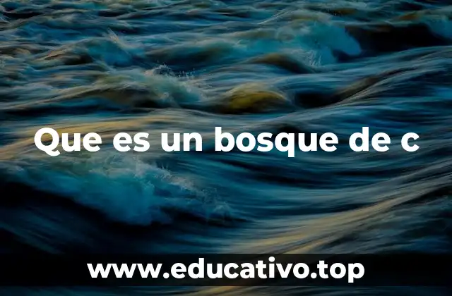 Bosques y su importancia ecológica