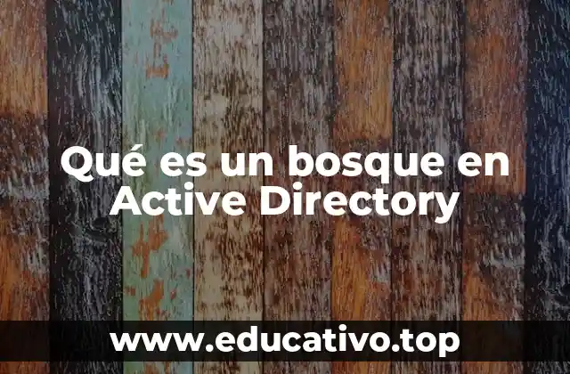 Qué es un bosque en Active Directory