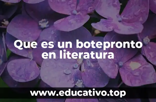 Que es un botepronto en literatura