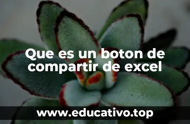 Que es un boton de compartir de excel