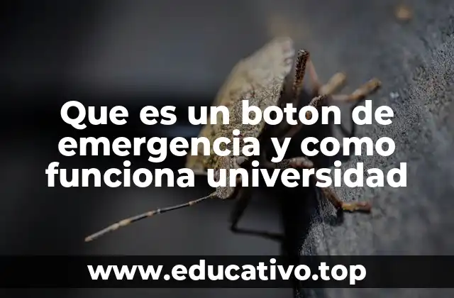 Que es un boton de emergencia y como funciona universidad