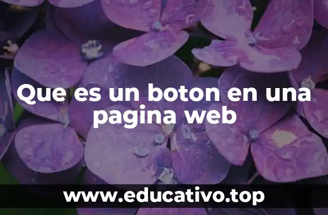 Que es un boton en una pagina web