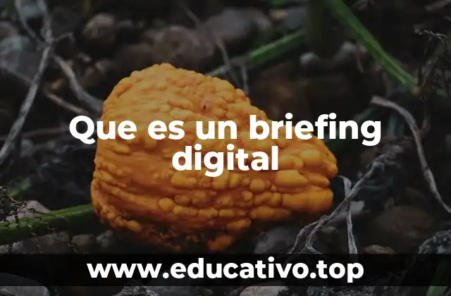La importancia del briefing en entornos virtuales