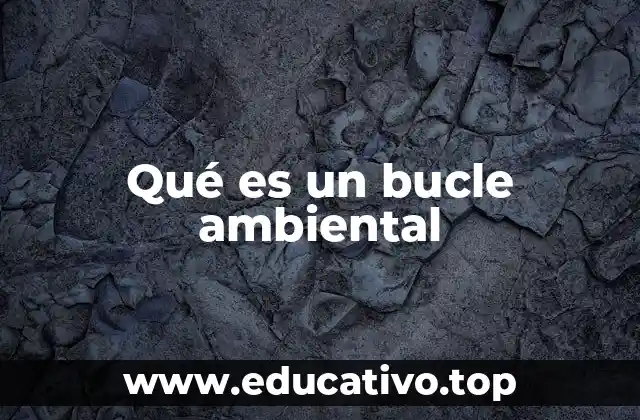 Qué es un bucle ambiental