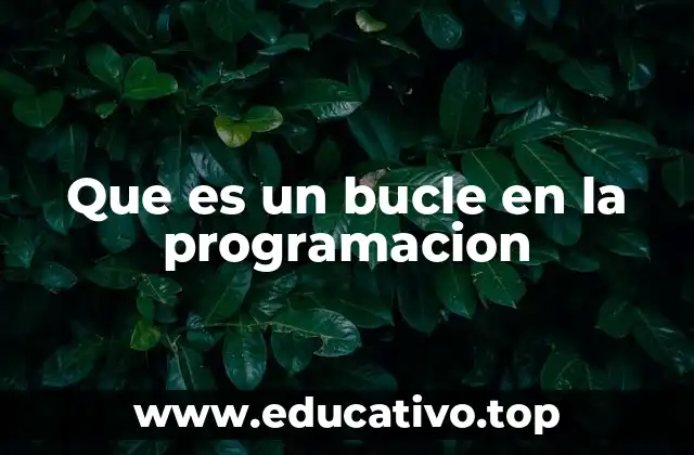Que es un bucle en la programacion