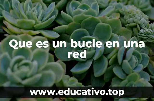 Que es un bucle en una red