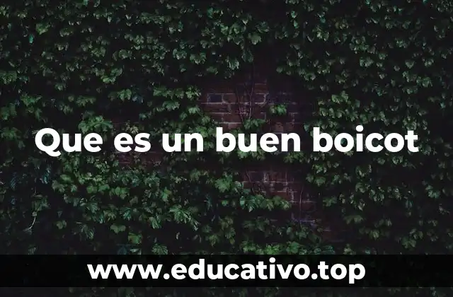 Que es un buen boicot