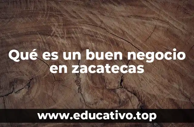Qué es un buen negocio en zacatecas