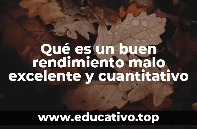 Qué es un buen rendimiento malo excelente y cuantitativo