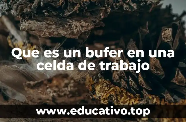 Que es un bufer en una celda de trabajo