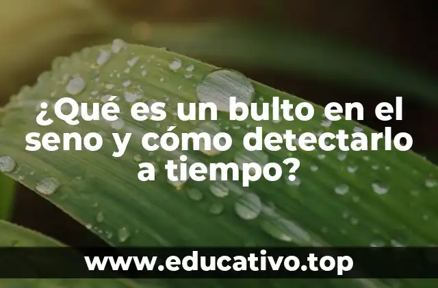 ¿Qué es un bulto en el seno y cómo detectarlo a tiempo?