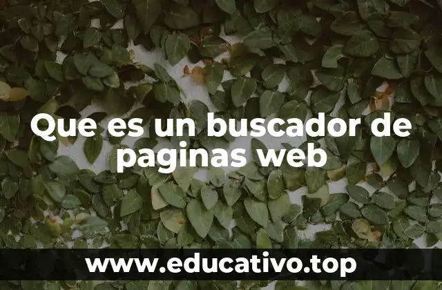 Que es un buscador de paginas web