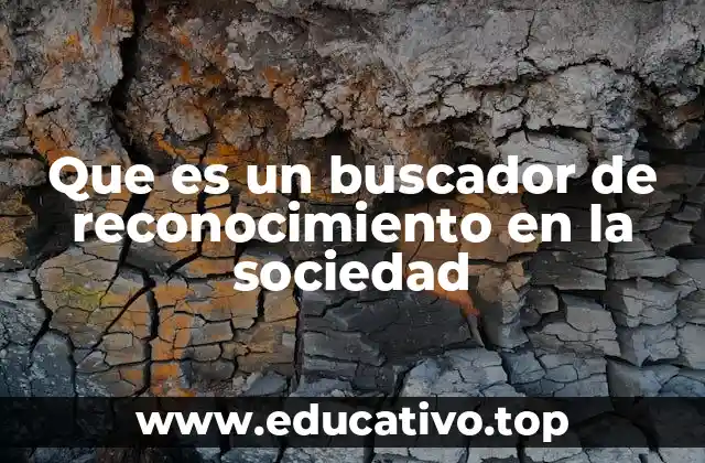 Que es un buscador de reconocimiento en la sociedad