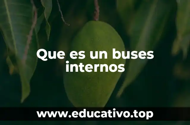 Que es un buses internos