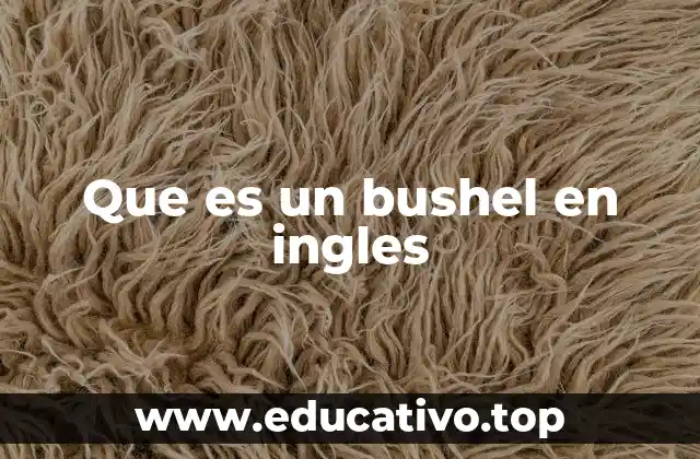Que es un bushel en ingles