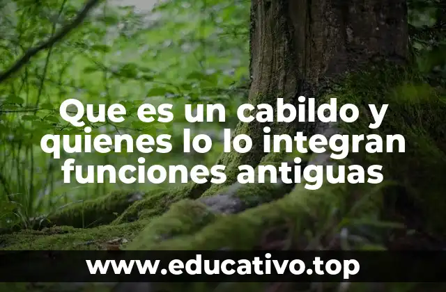 Que es un cabildo y quienes lo lo integran funciones antiguas