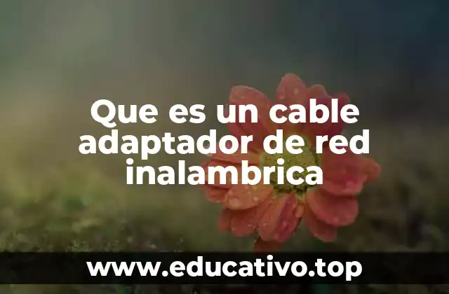 Que es un cable adaptador de red inalambrica