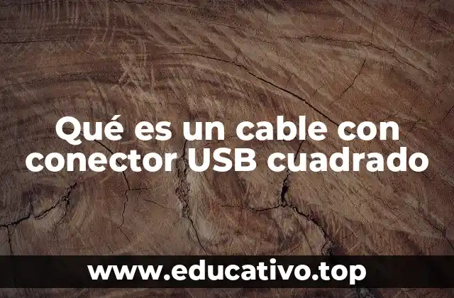 Qué es un cable con conector USB cuadrado