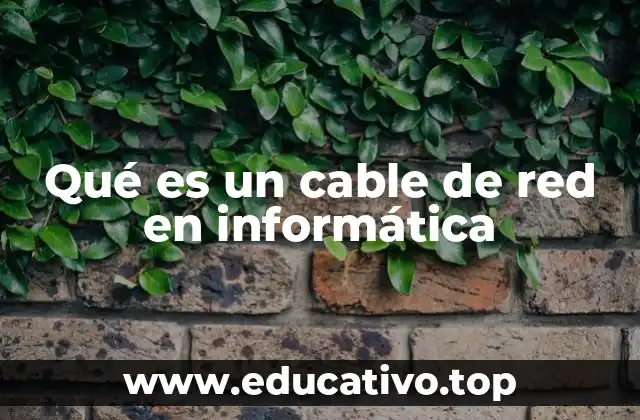 Qué es un cable de red en informática