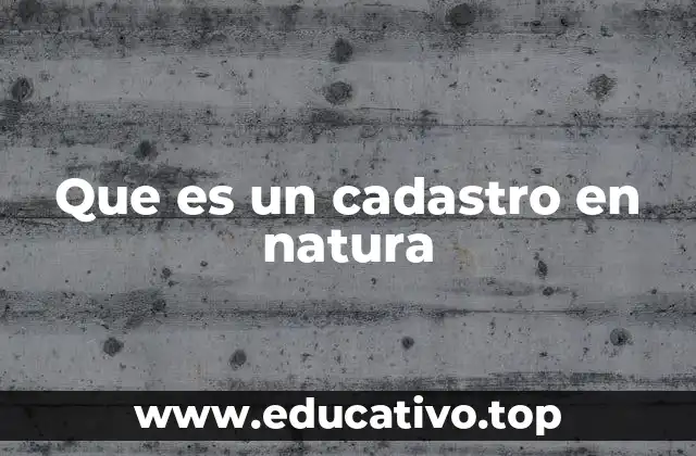 Que es un cadastro en natura