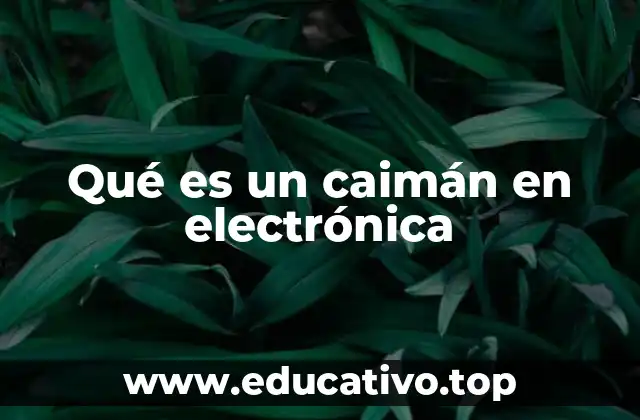 Qué es un caimán en electrónica