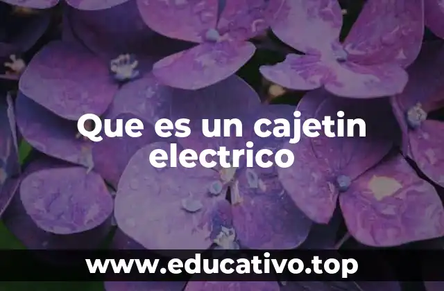 Que es un cajetin electrico