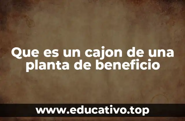 Que es un cajon de una planta de beneficio