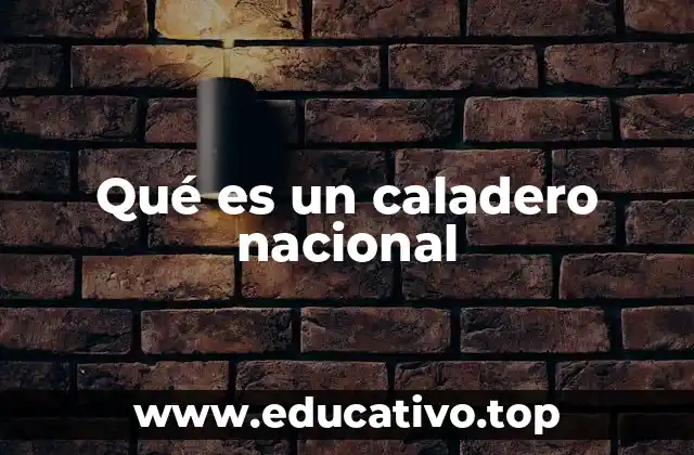 Qué es un caladero nacional