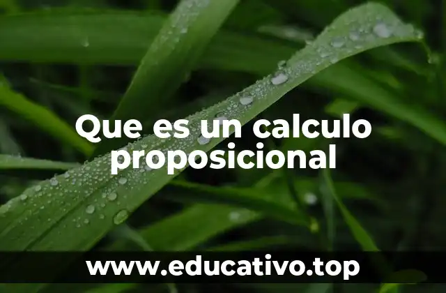 Que es un calculo proposicional