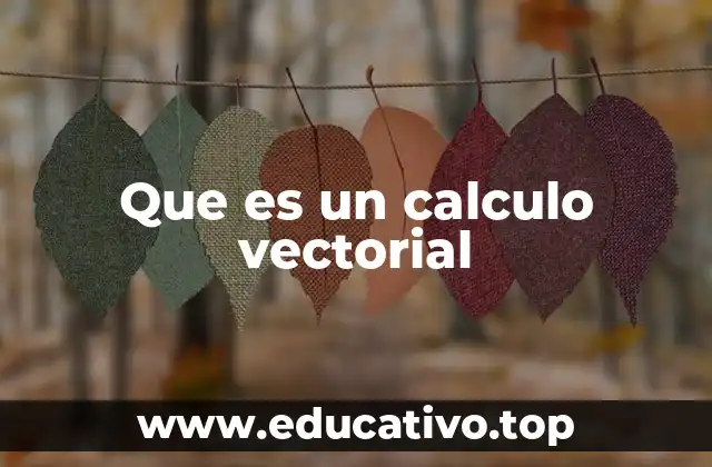 Que es un calculo vectorial