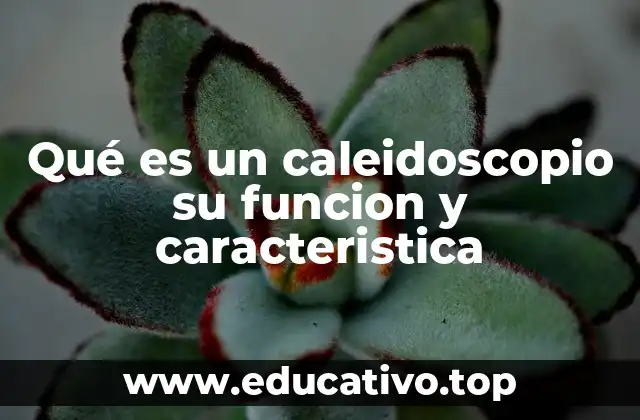 Qué es un caleidoscopio su funcion y caracteristica