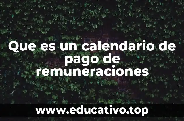 Que es un calendario de pago de remuneraciones