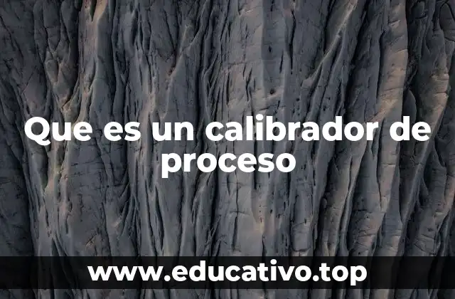 Que es un calibrador de proceso