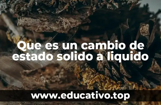 Que es un cambio de estado solido a liquido