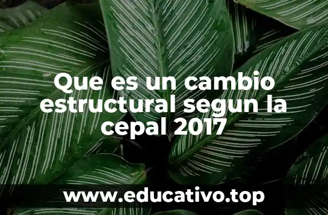 Que es un cambio estructural segun la cepal 2017