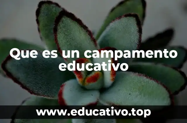 Que es un campamento educativo