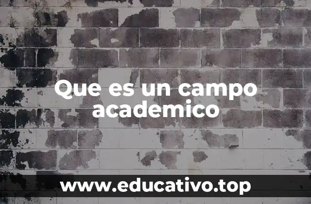 Que es un campo academico