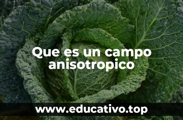 Que es un campo anisotropico