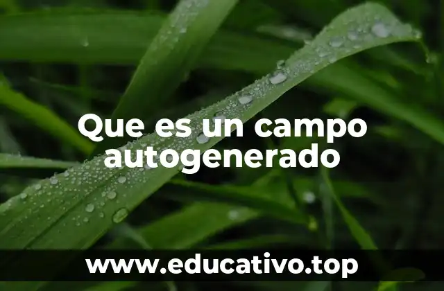 Que es un campo autogenerado
