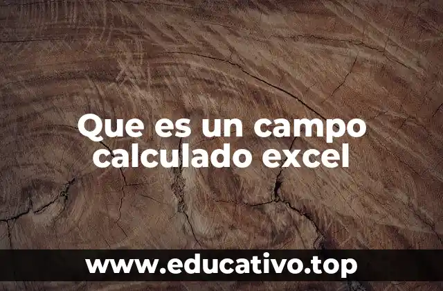 Que es un campo calculado excel