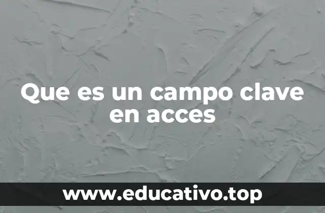 Que es un campo clave en acces